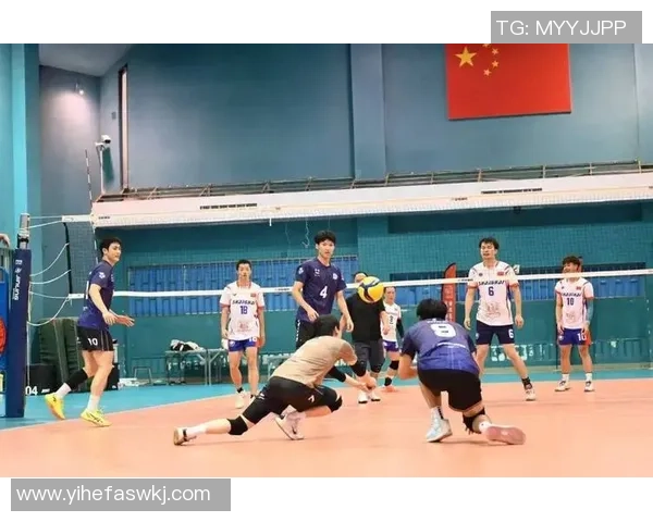 上海排球队创历史新高排球状态排名再创新高峰