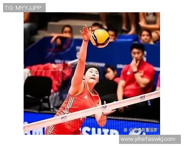 广州排球队在全国排球节奏排行榜中荣获第五名的佳绩引发热议