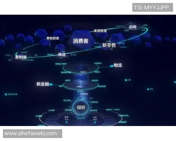 独家解析：WE灵活性优势与其他品牌的深度对比分析