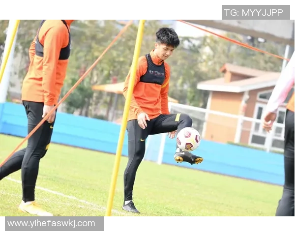 武汉足球队实力强劲荣登全国足球实力排行榜第六名